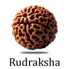 Rudraksha